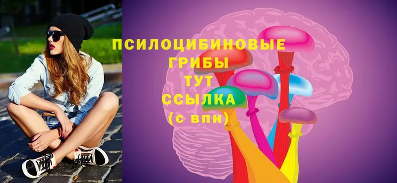 ссылка на мегу   купить  цена  Кировск  Галлюциногенные грибы Psilocybe 