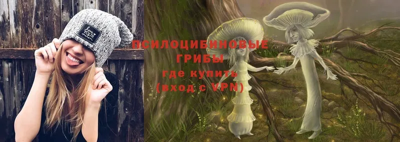 Псилоцибиновые грибы Magic Shrooms Кировск